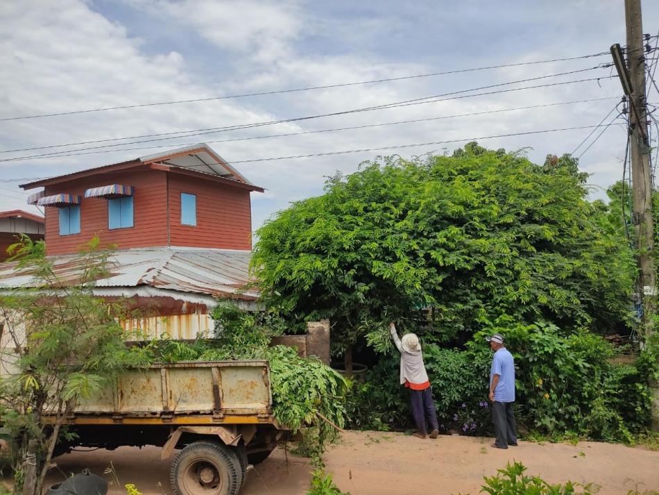 ร่วมกันออกพัฒนาชุมชน ทำความสะอาด ปรับปรุงภูมิทัศน์และสภาพแวดล้อมในชุมชน ตามโครงการพัฒนาระบบสุขาภิบาลชุมชน  (โครงการพระราชดำริด้านสาธารณสุข ประจำปีงบประมาณ 2566) ขอขอบคุณทุกท่านที่มีส่วนร่วมในการพัฒนาชุมชนค่ะ Cr.กองสาธารณสุขและสิ่งแวดล้อม ทต.นาดูน
